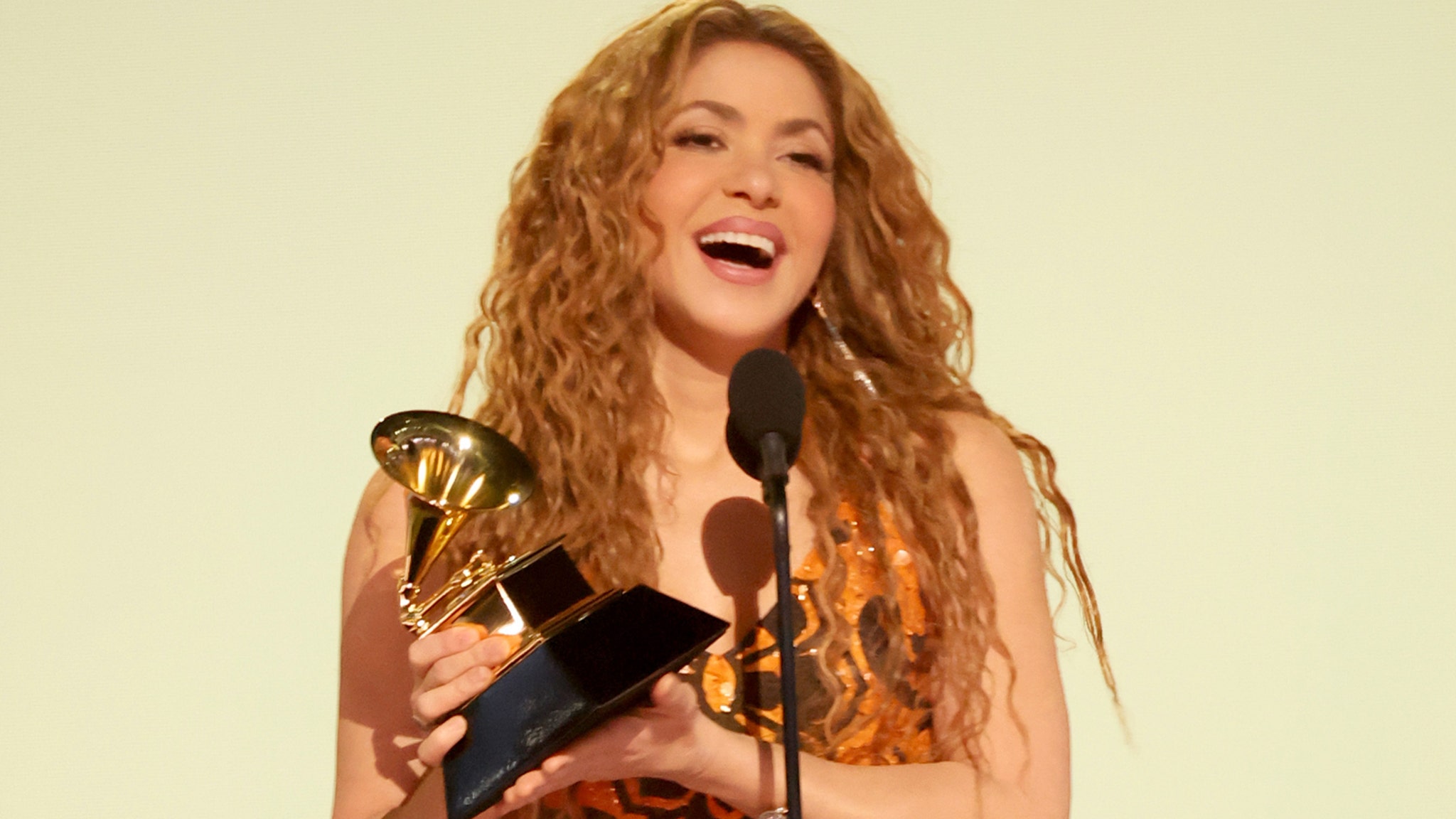 Shakira Dedicates Grammy Award to Immigrants: 'I Will Always Fight with You'