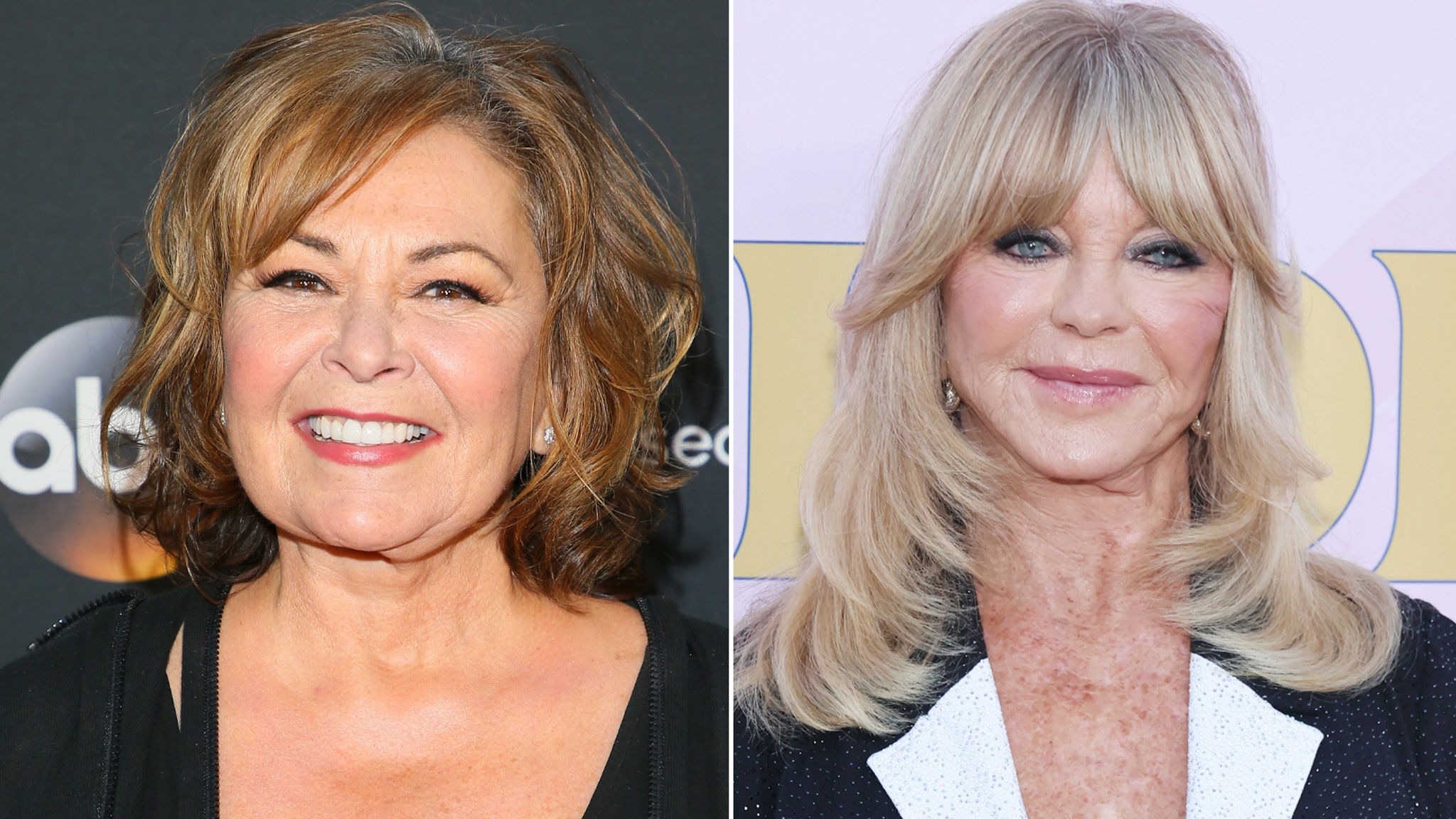 Why Daughter Roseanne Barr Gave Up for Adoption Thought Goldie Hawn Was Her Mom