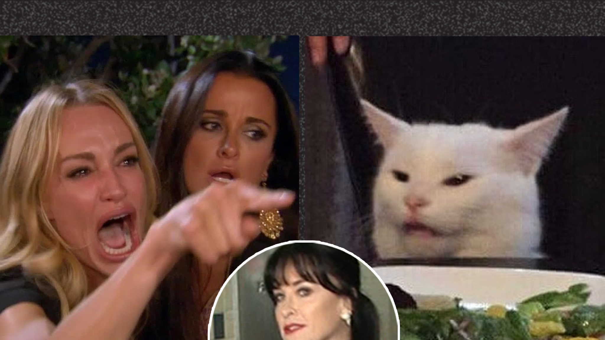 Kyle Richards Has No Clue What Woman Yelling At Cat Meme is About
