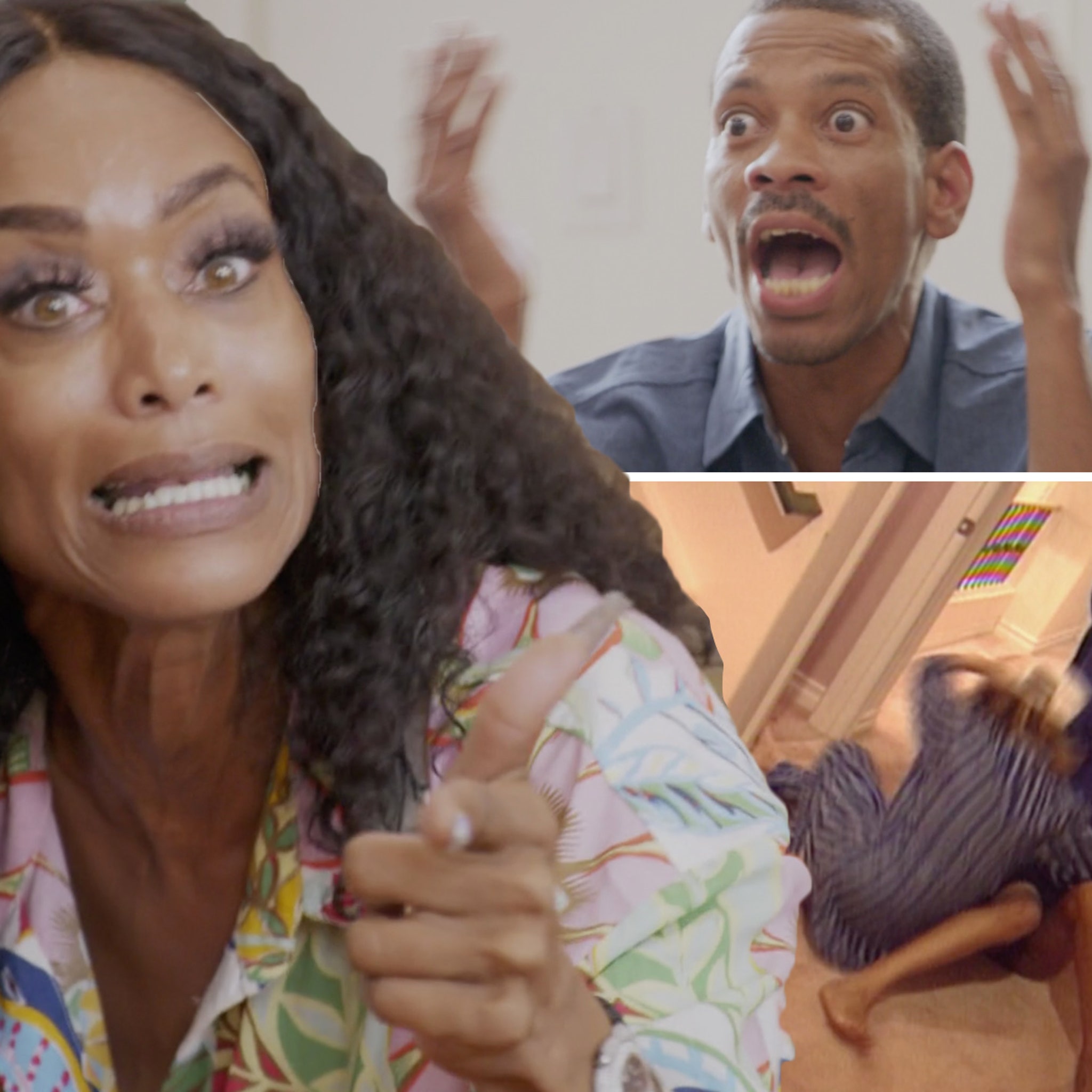 tami roman faces