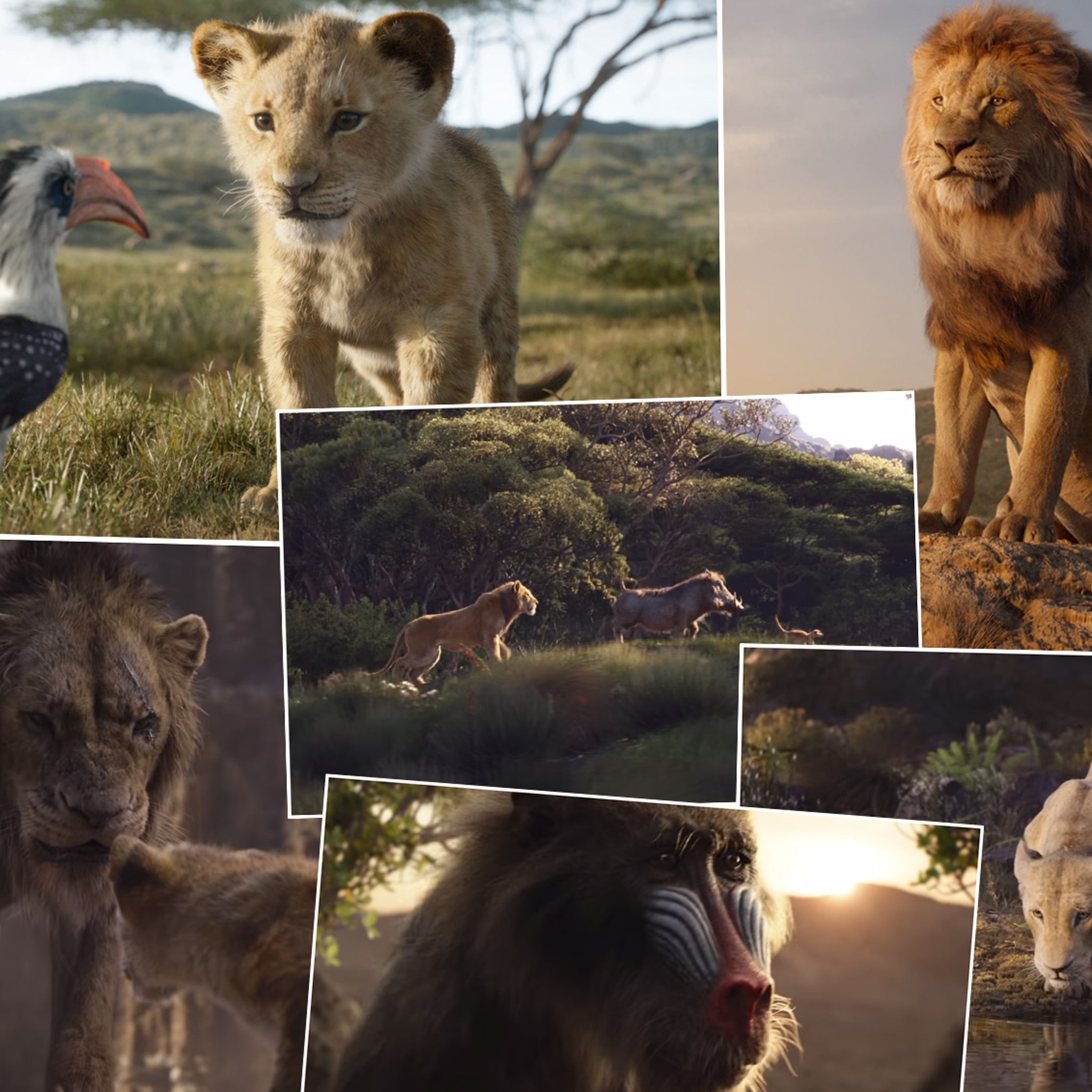 Full Lion King Trailer Mufasa Scar And Timon And Pumbaa