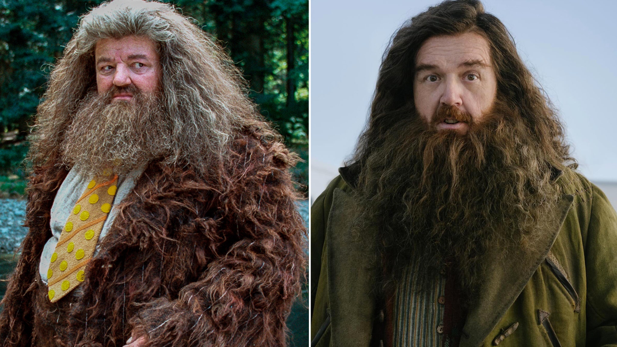 Every Actor That's Been Cast For HBO's New Harry Potter Series