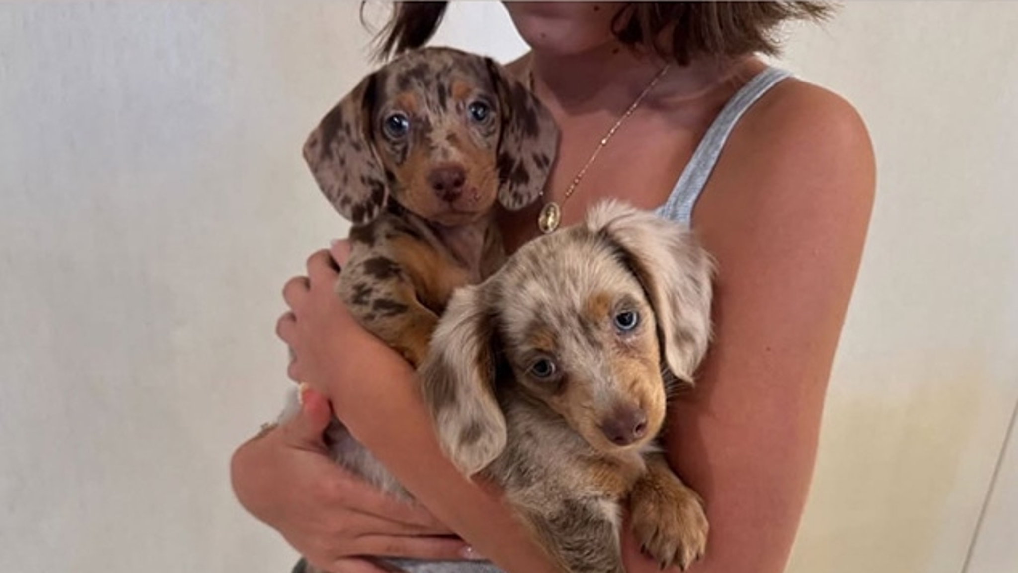 Kylie Jenner Reveals New KarJenner Puppies