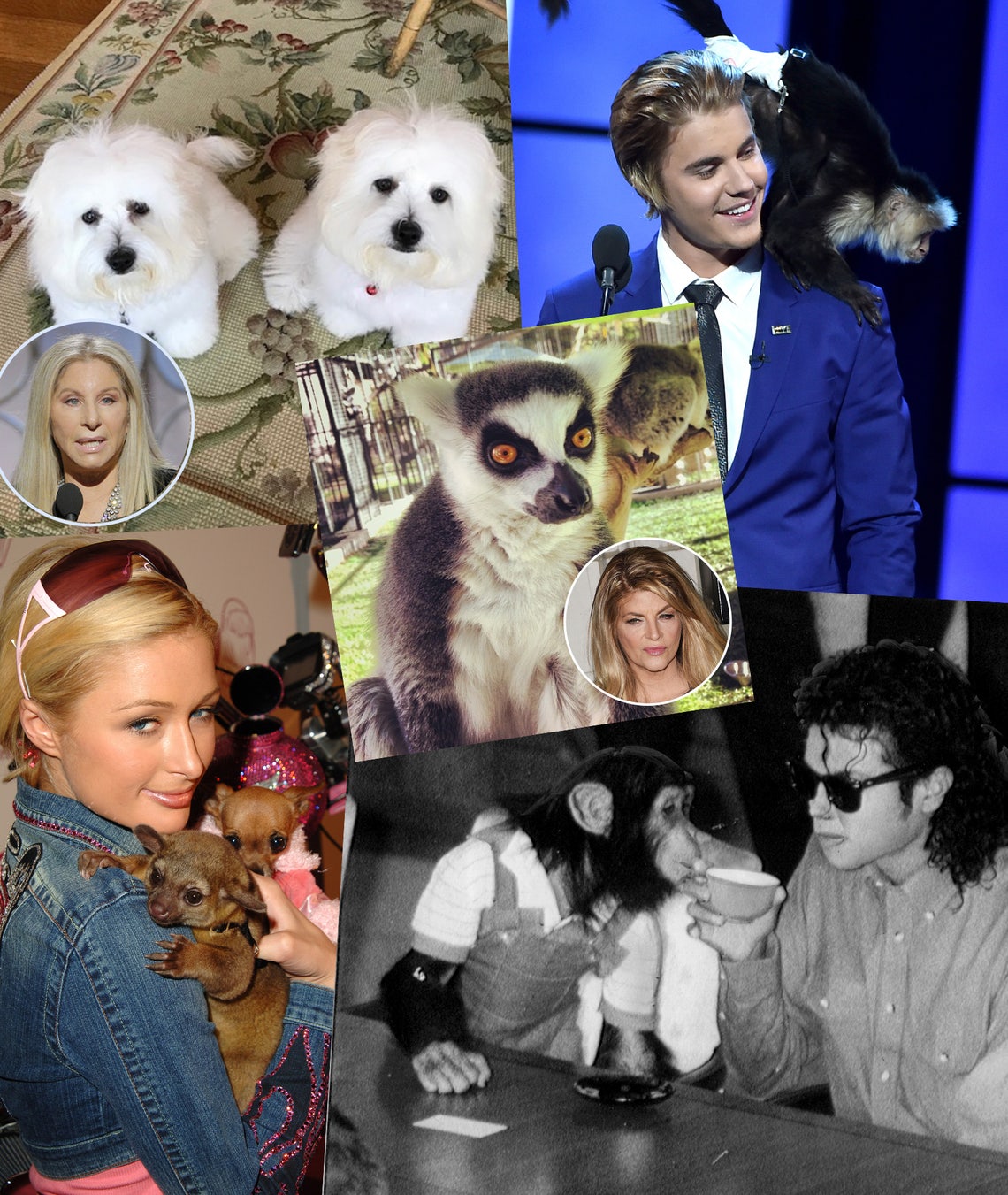 Celebs and their pets in 2018, Gallery