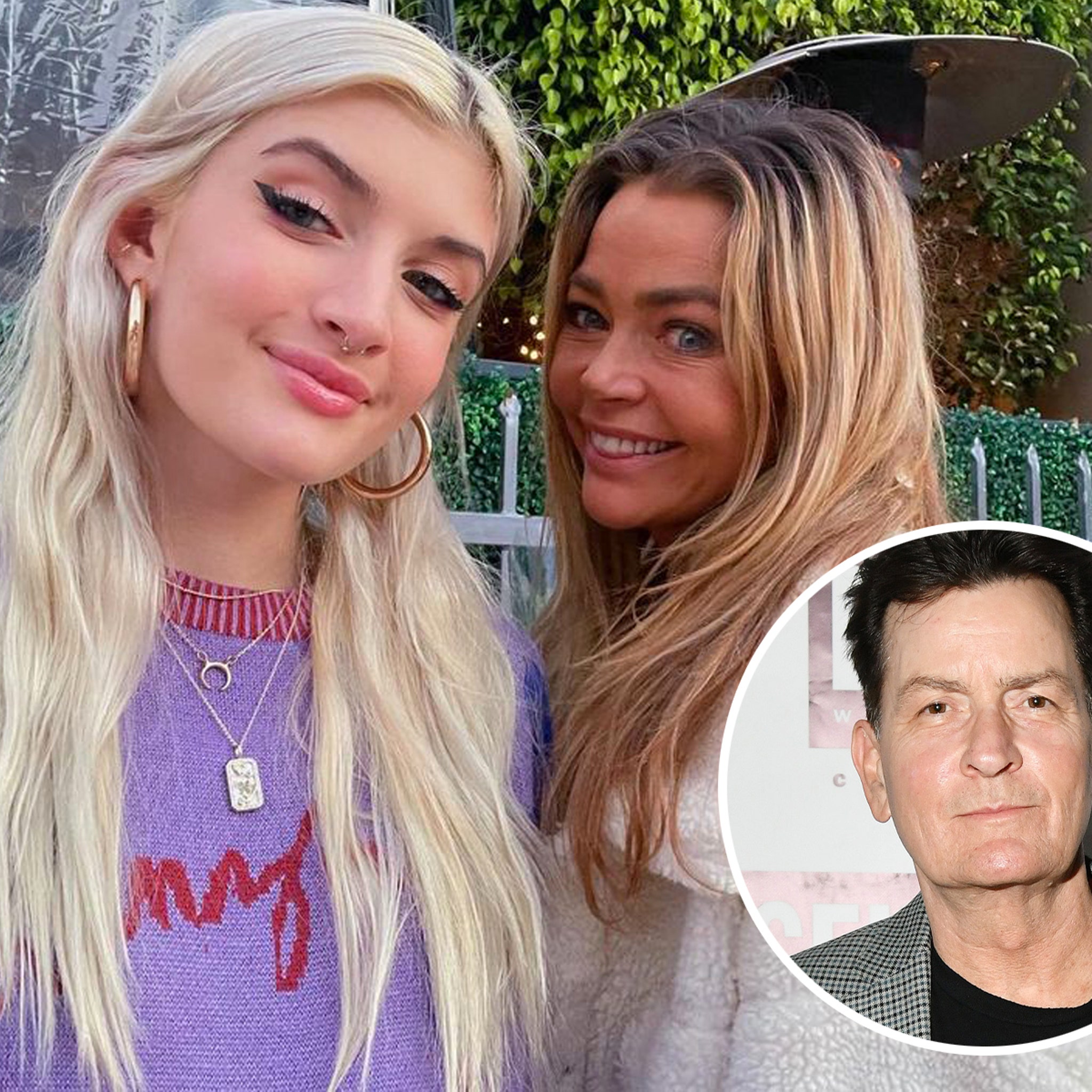 charlie sheen and denise richards married