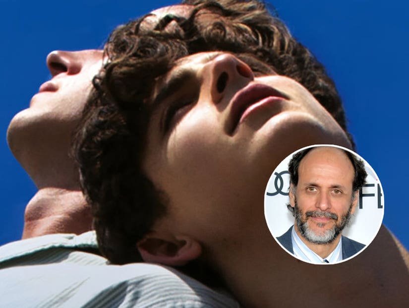 Call Me By Your Name Director Luca Guadagnino Hopes to Work with