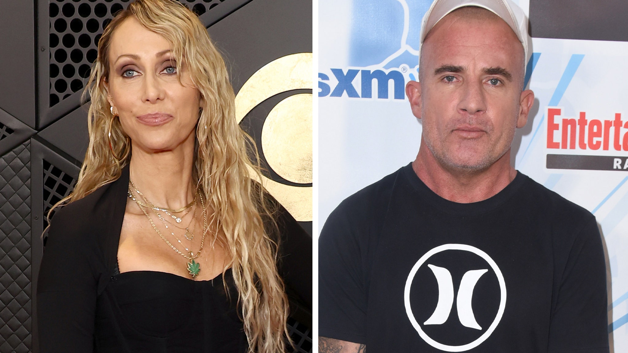 Tish Cyrus Says There Are 'Issues' She's Dealing With in Marriage to Dominic Purcell
