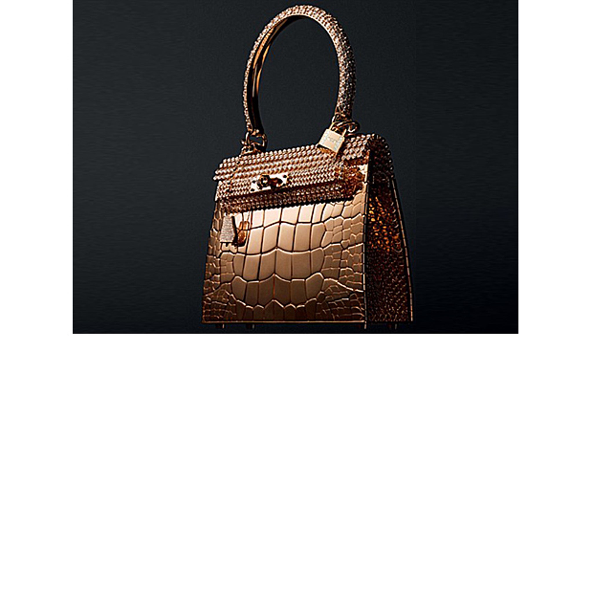 Hermes finally debuts a Birkin bag for men