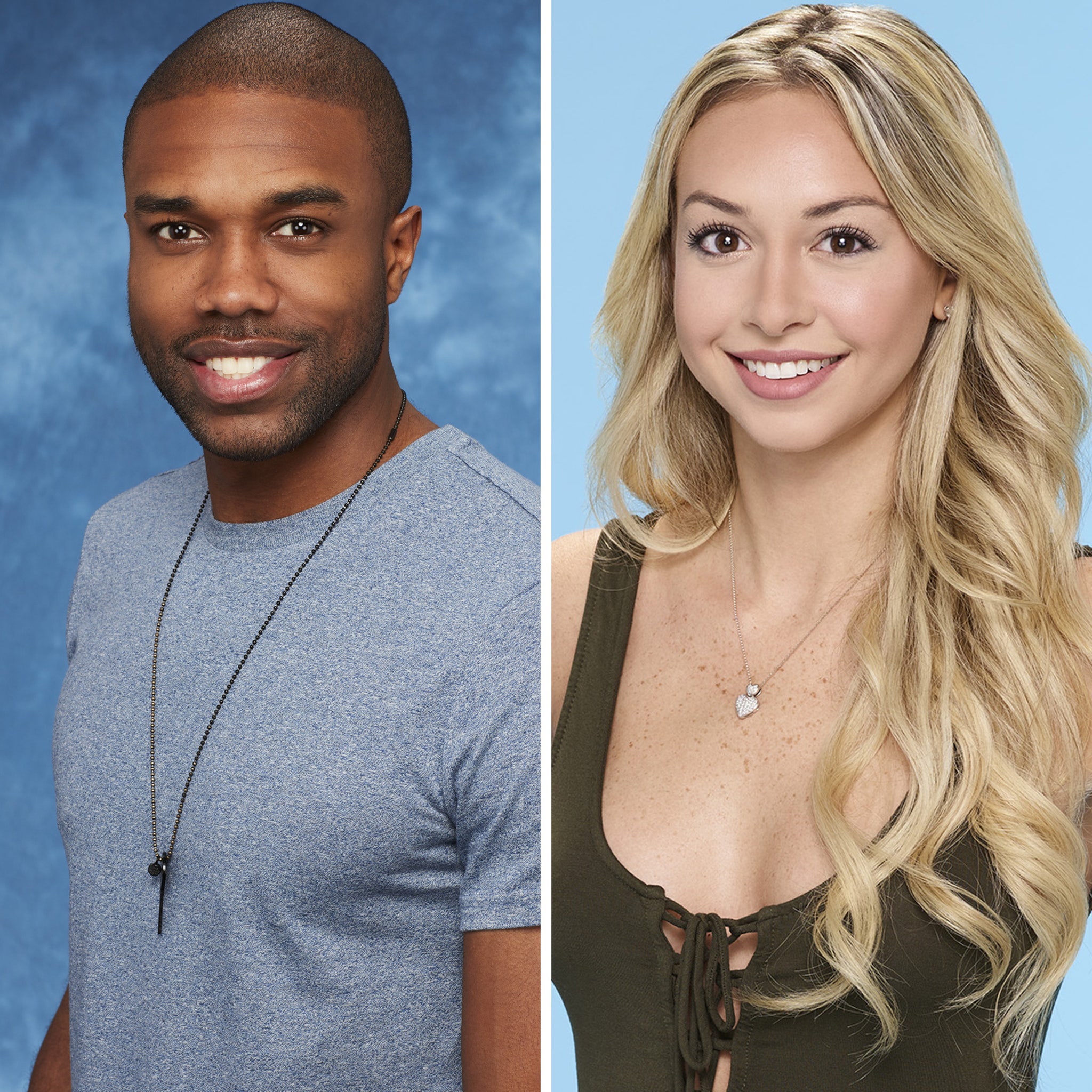 Bachelor in Paradise Abruptly Suspends Production After Alleged Miscon