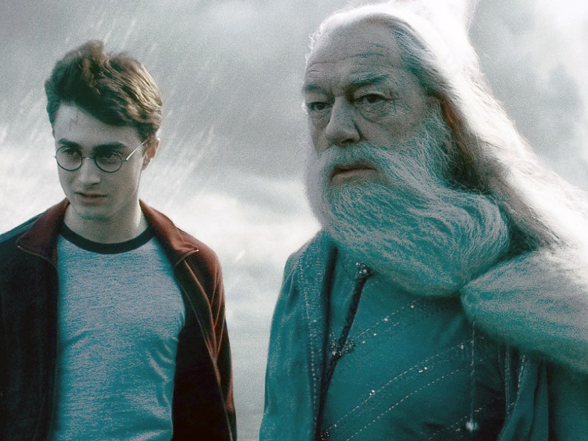 Harry Potter Stars Mourn Death of Michael Gambon, Dumbledore Actor Dead ...