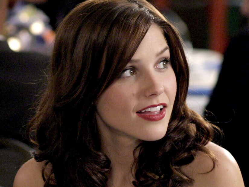 Sophia bush hot photos