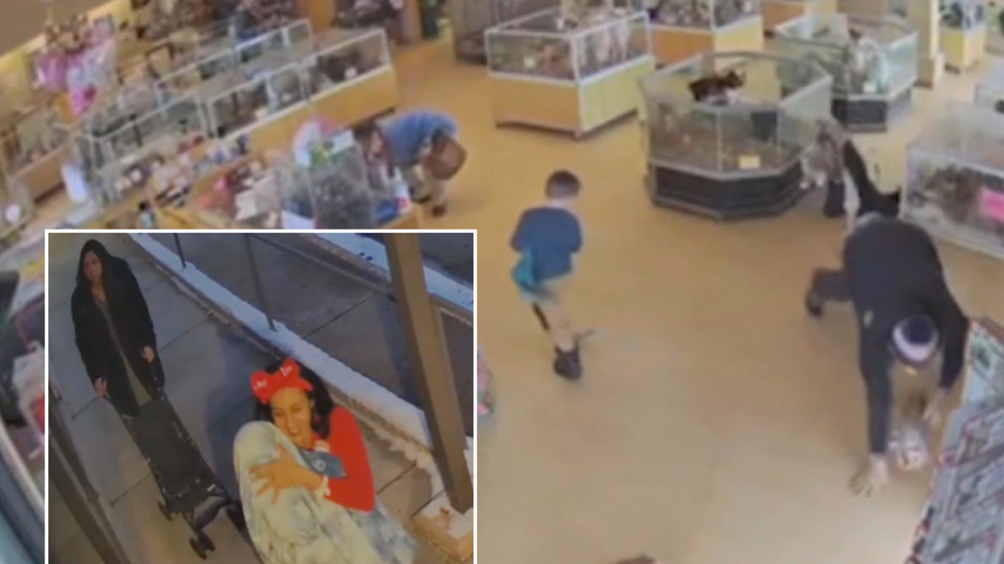 Video Shows Thieves Fake Seizure to Steal Two Puppies From Colorado Pet Store: Police