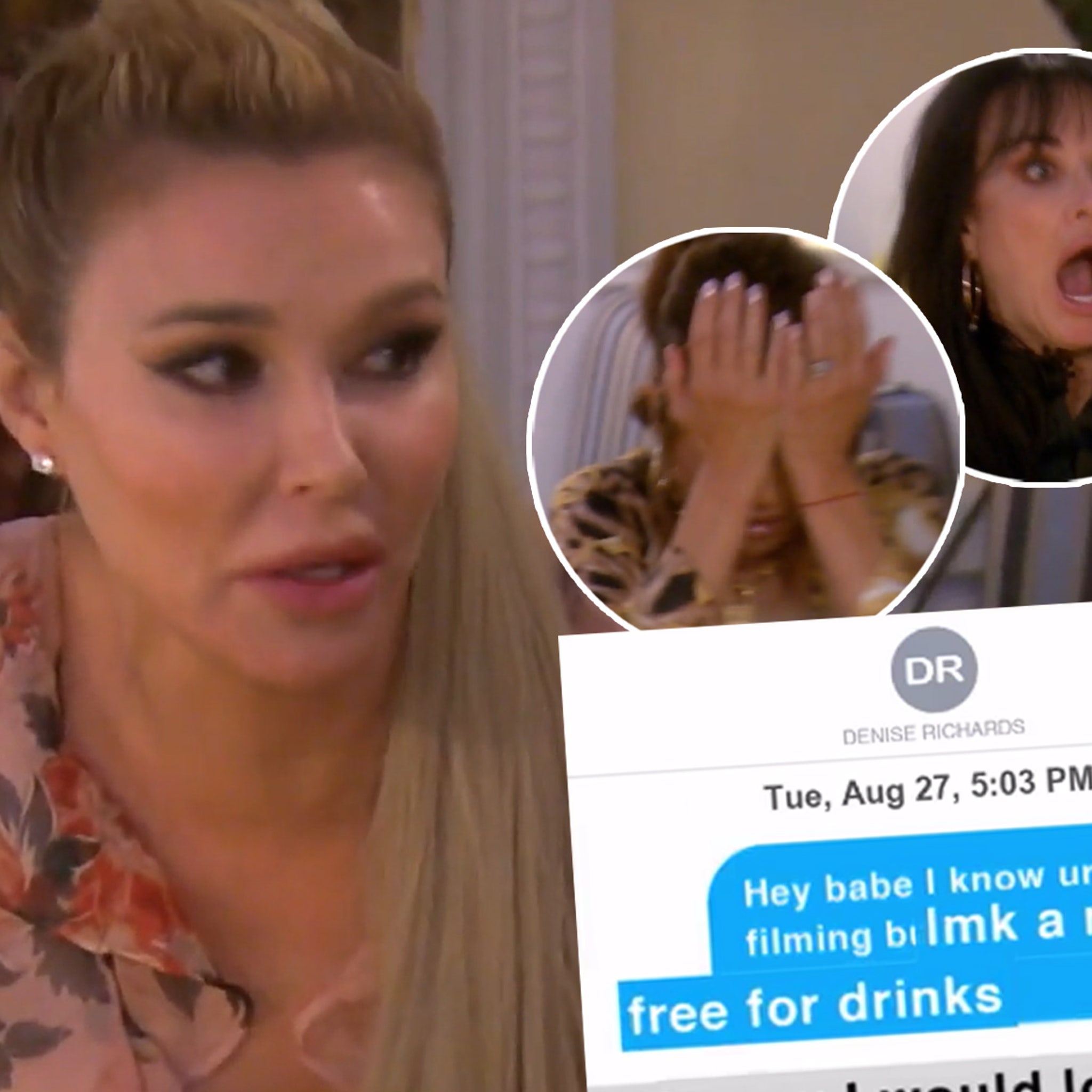 See Texts Brandi Glanville Showed RHOBH Cast To Try And Prove Denise  Richards Hookup