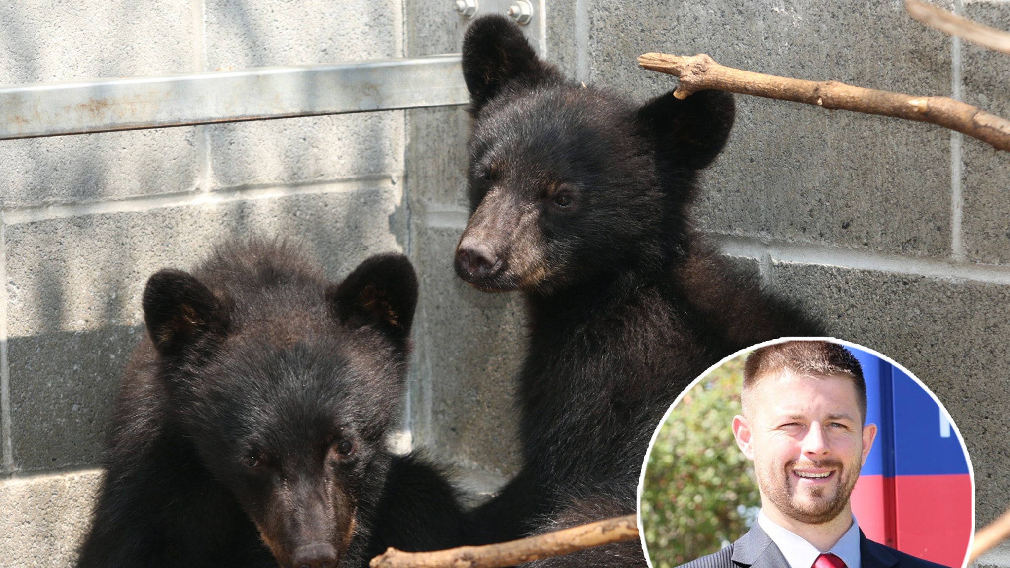Conservation Agent fired for refusing to shoot two bear cubs to get a job back