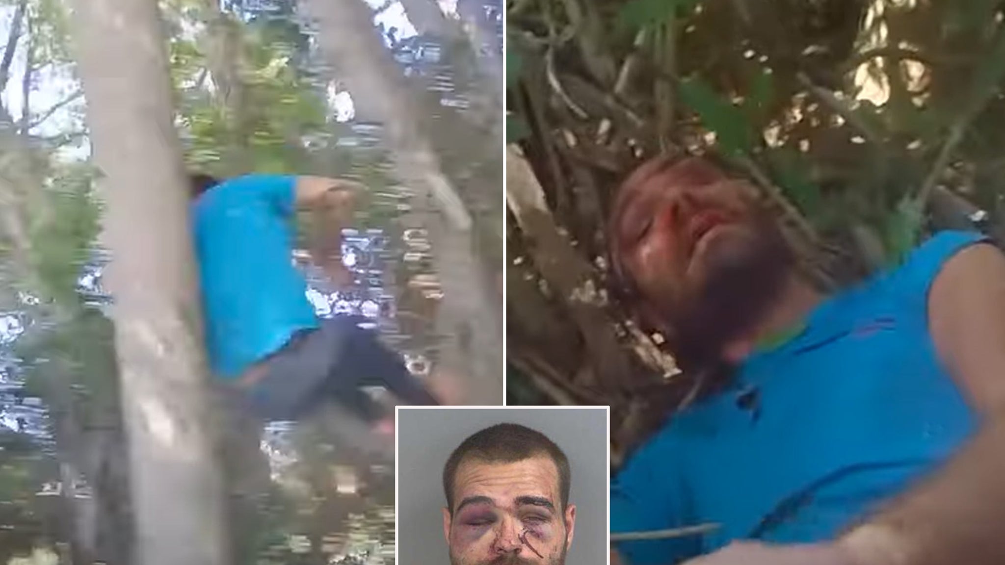 Florida Man Accused of Mom's Brutal Murder, Tried to Climb Tree, Choke K9 During Police Chase