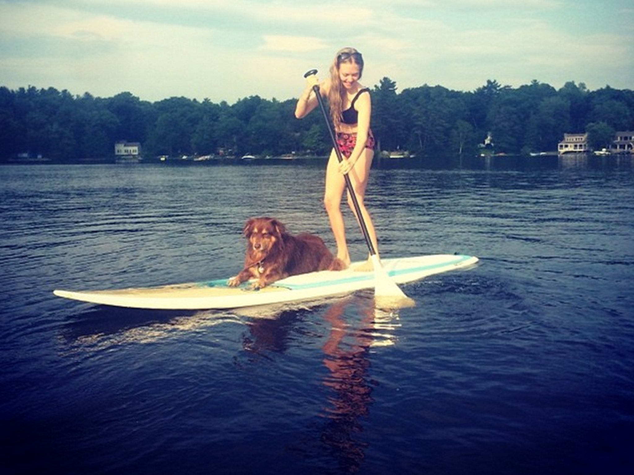 Amanda Seyfried Goes Paddleboarding With Her Adorable Pup