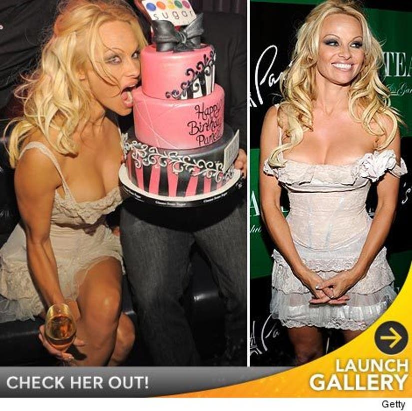 Pam Anderson celebrated her 44th birthday this weekend in Las Vegas -- and ...
