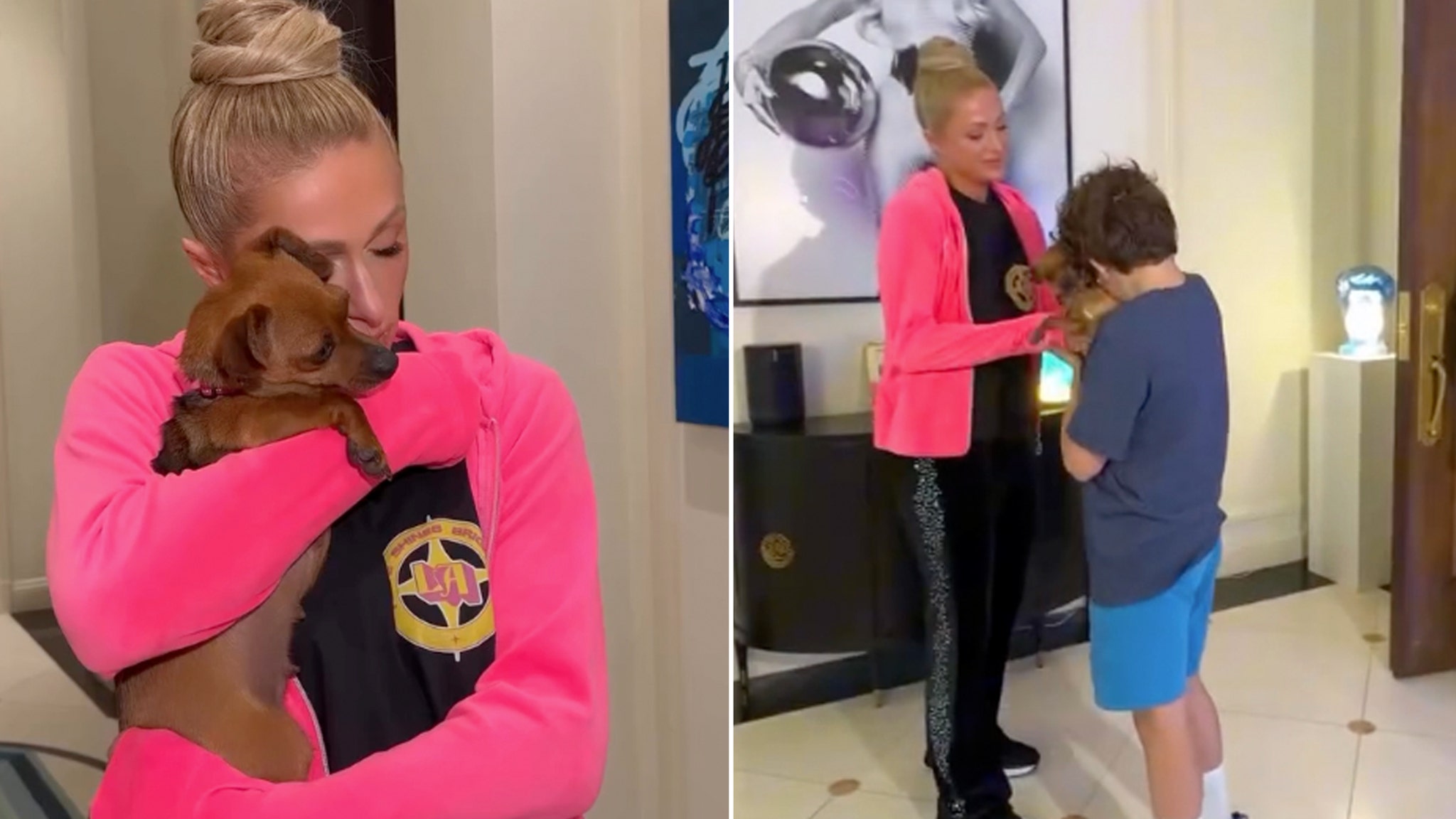 Paris Hilton Reunites Dog Displaced from Fires with Original Family In Heartwarming Video