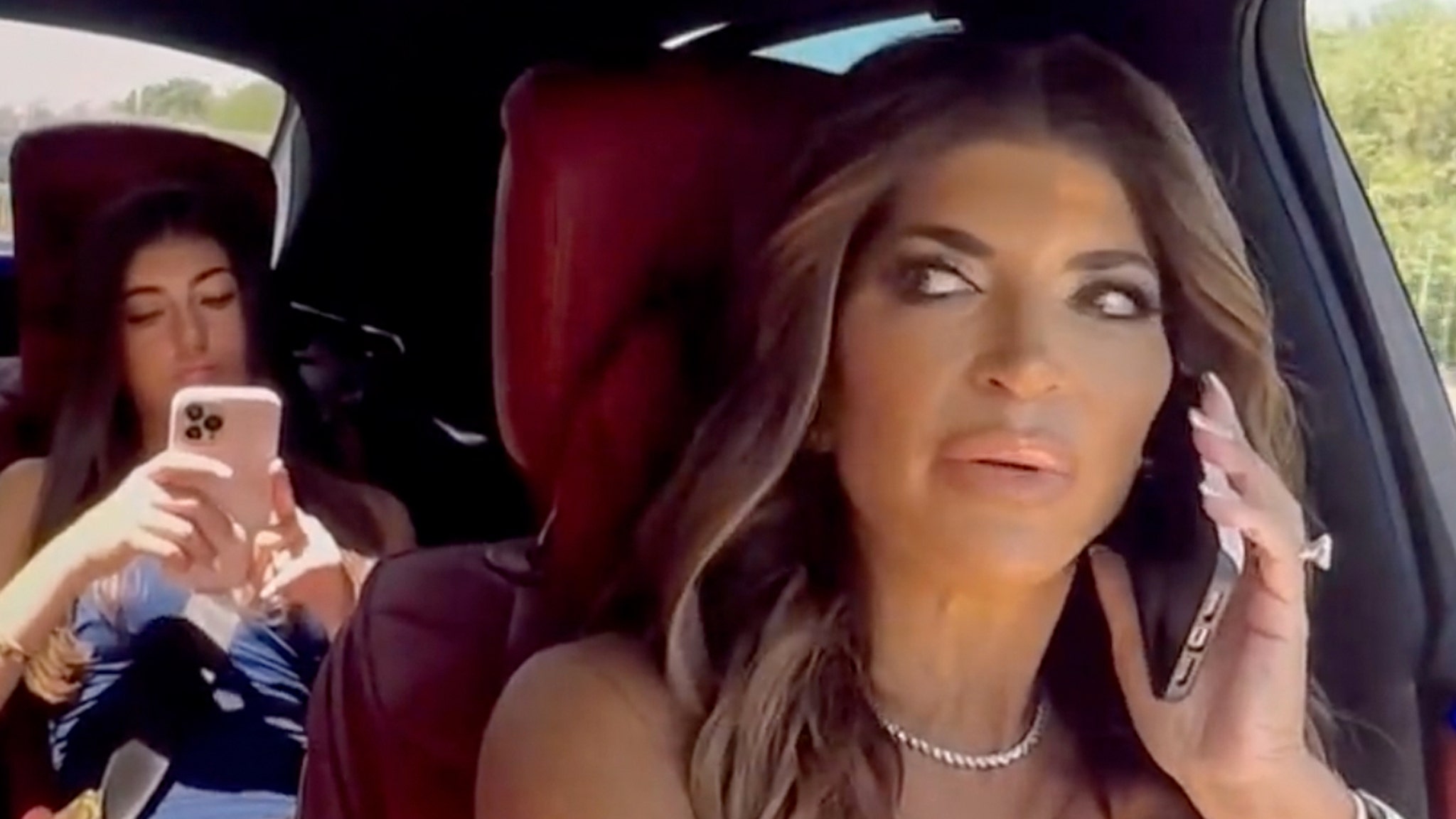 Teresa Guidice Tries to Stop Luis from Dissing Melissa and Joe on RHONJ: 'The Cameras Are On'