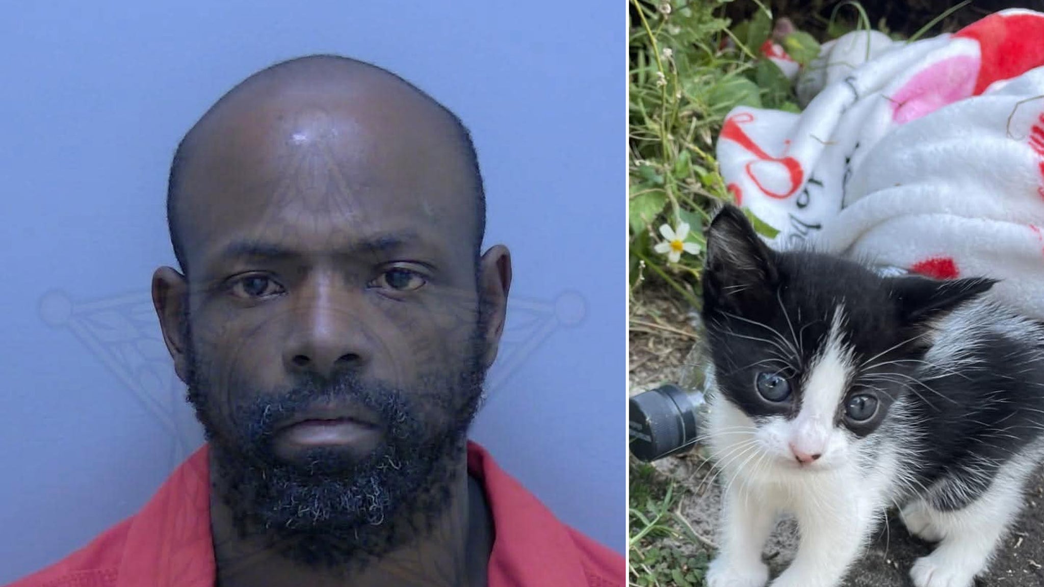 Florida Man Accused of Stealing Women's Purse with 1-Month-Old Kitten Inside: Cops