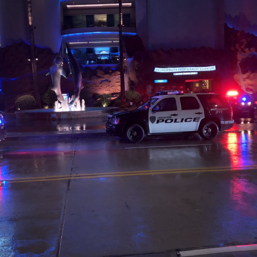 Motive a Mystery as Diner Suddenly Shoots Couple Then Himself at Houston Aquarium