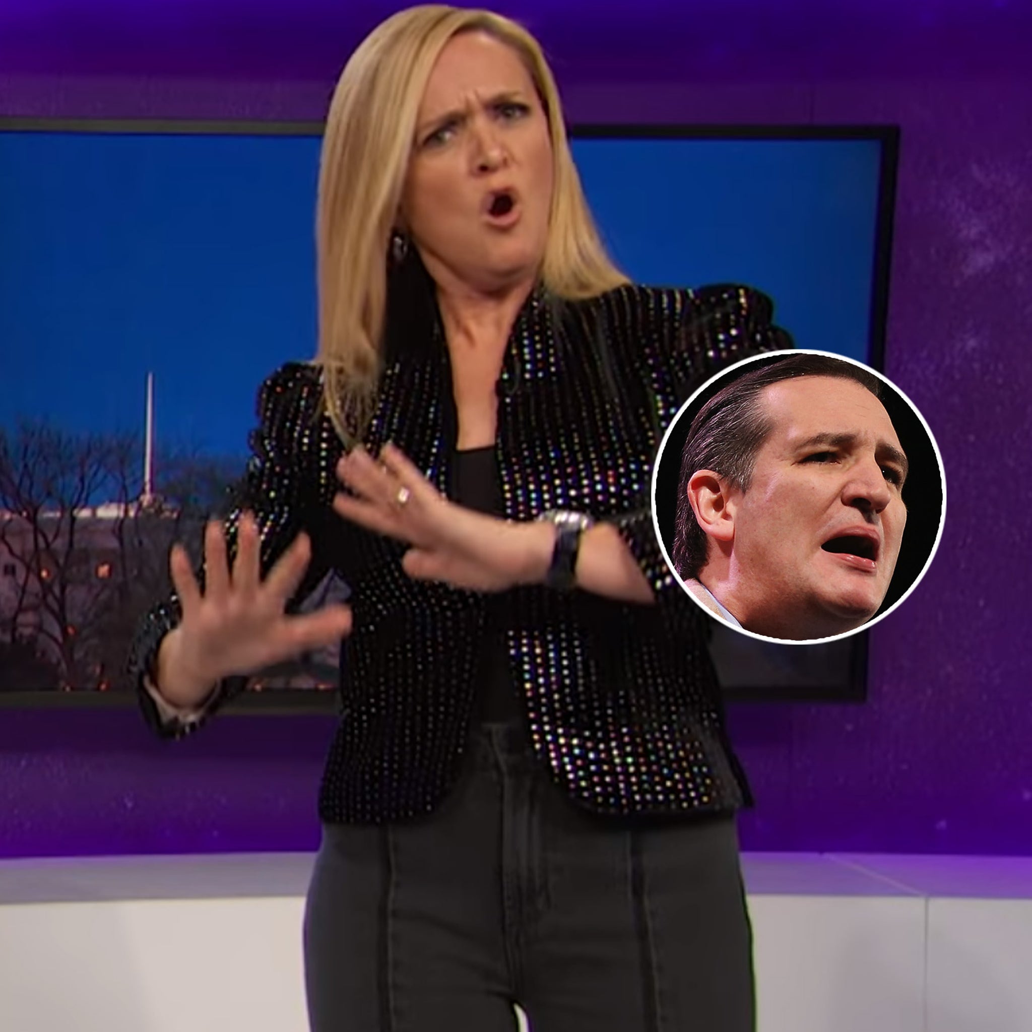 2048px x 2048px - Sam Bee Mocks 'Texas Tugger' Ted Cruz for Porn Fiasco and Rips 'Bewigged  Slenderman' Ann Coulter