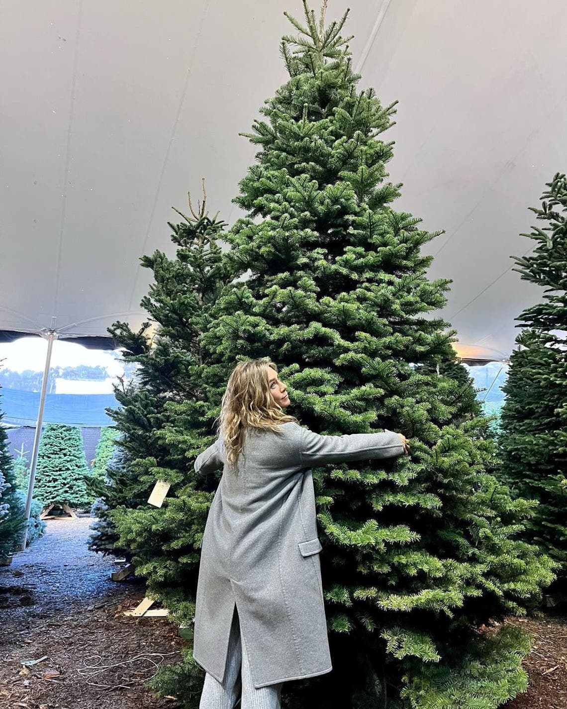 "Good luck to all the wooden Rudolphs out there 🎄👀❤️" - Jennifer Aniston