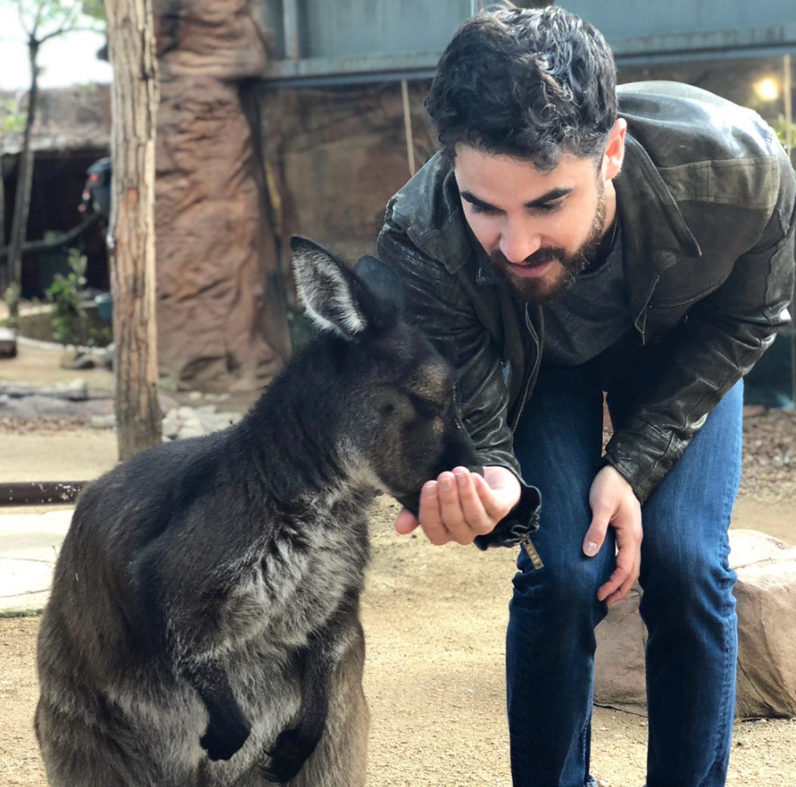 "Dear Australia, I just got back to the US after a truly wonderful first trip to your land," Darren Criss