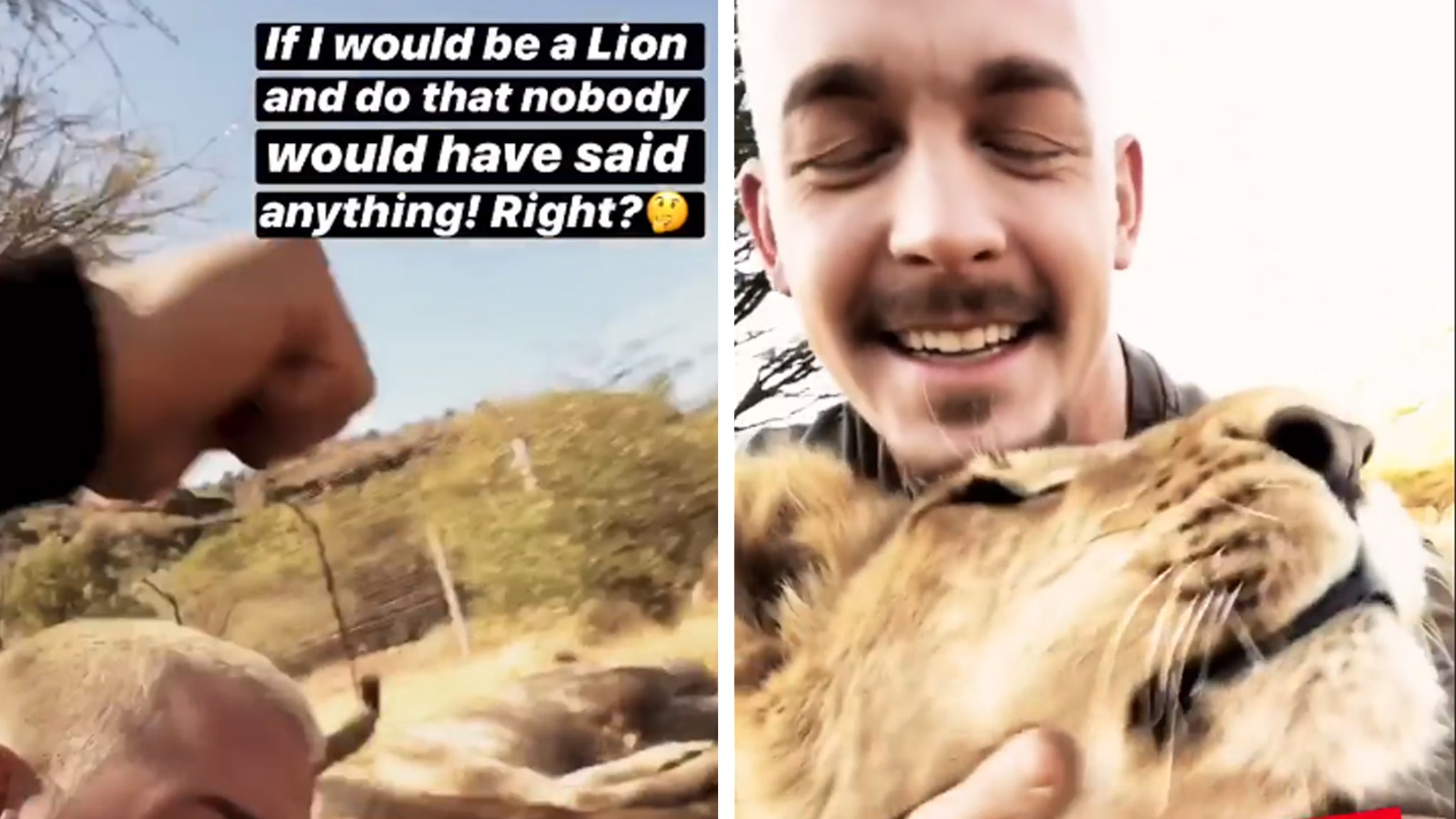 Lion King' Dean Schneider Explains Punching Video After Animal Abuse  Accusations