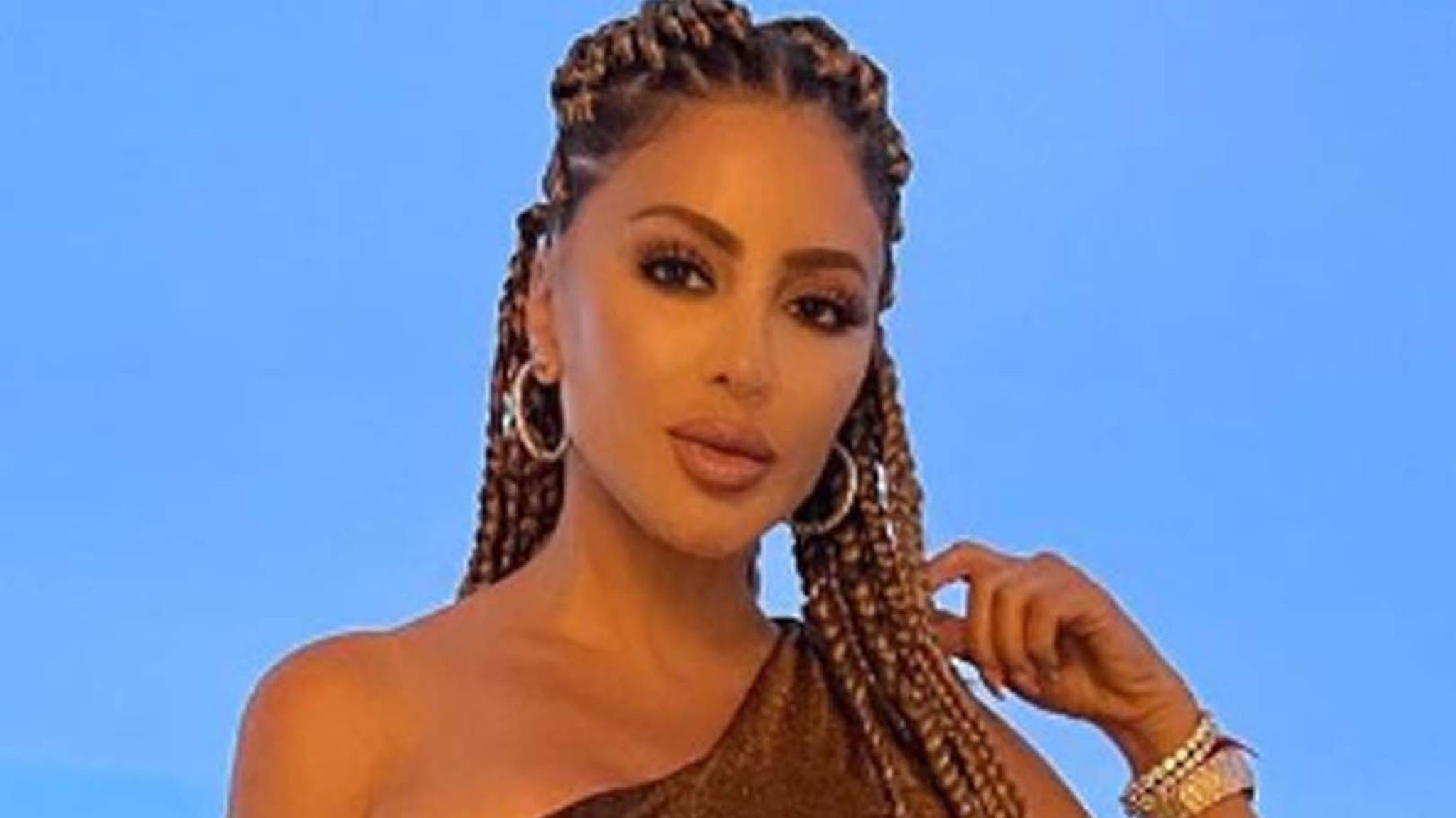 Larsa Pippen verteidigt das Tragen von Box Braids an echten Hausfrauen ...