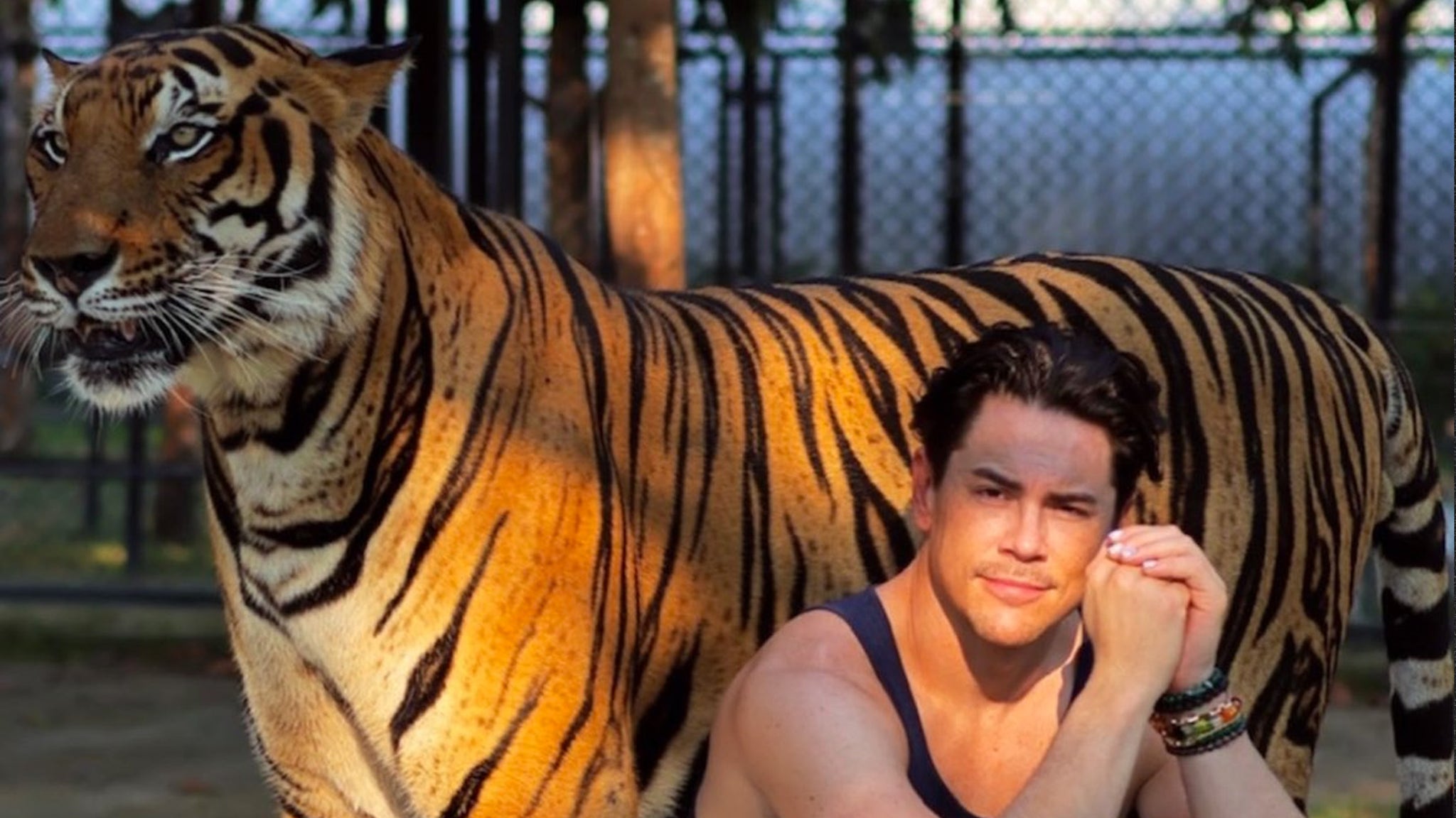 Shameful' Tom Sandoval Blasted For Visiting Tiger Zoo, Accused of Supporting  Animal Cruelty