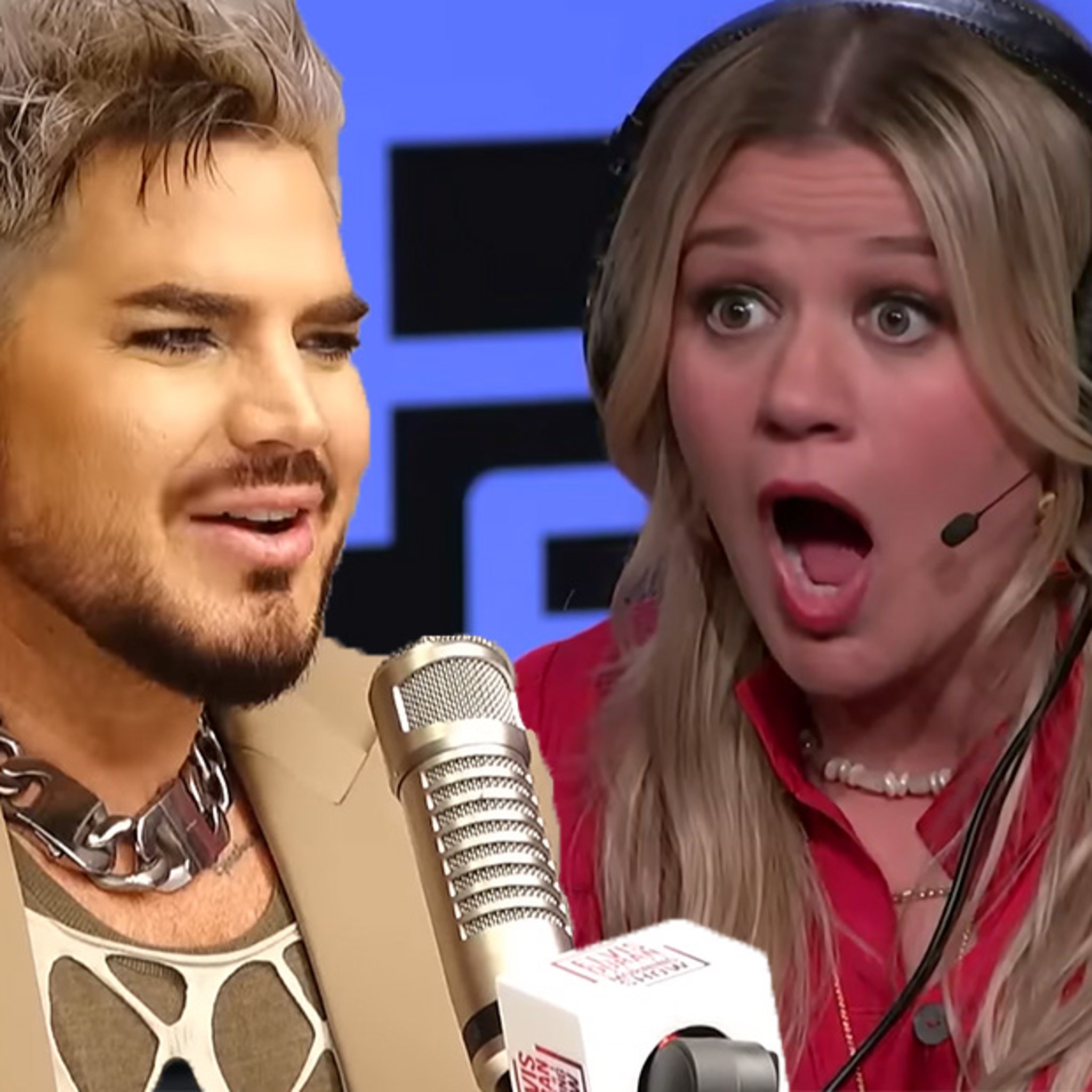 Kelly Clarkson was 'blindsided' by toxic claims at talk show