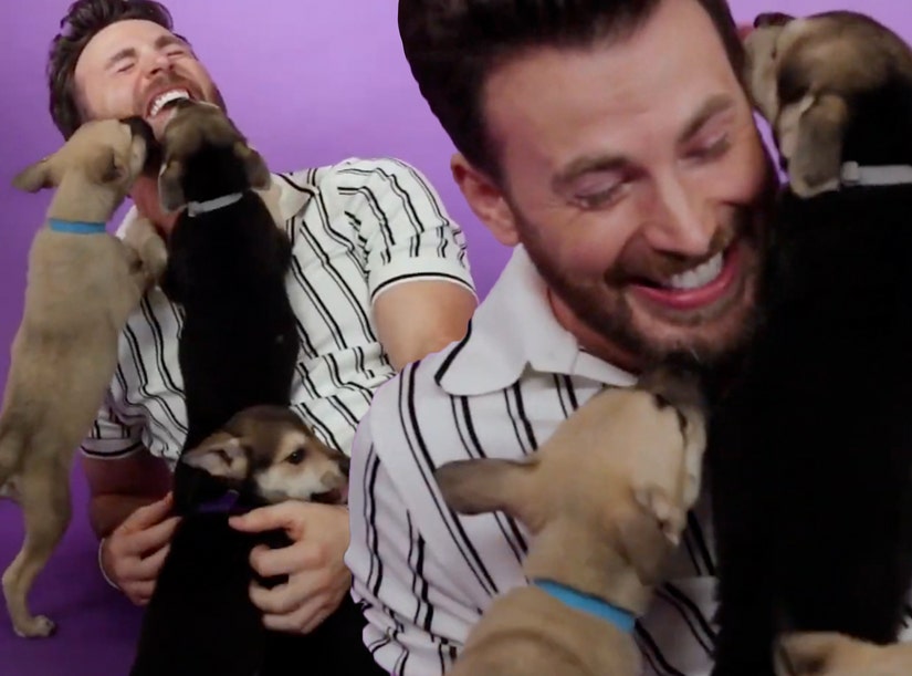 The Chris Evans Puppy Interview Is Here And It's Just Glorious | 15...