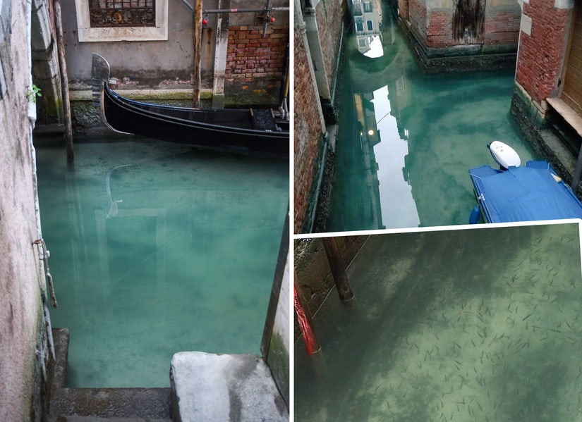 Venice Canals Clear Water Now Amid Italy's Coronavirus Lockdown