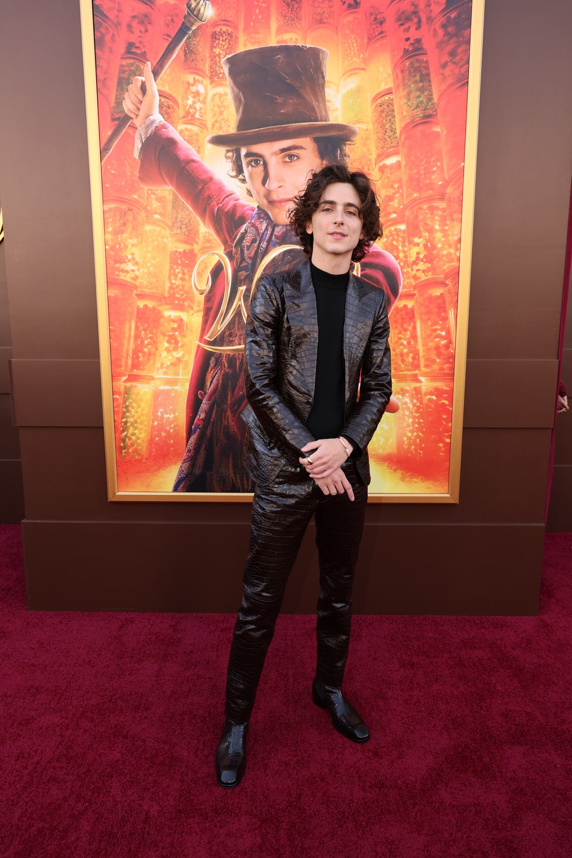 See Timothée Chalamet's Red Carpet Outfit at 'Wonka' L.A. Premiere: Photo