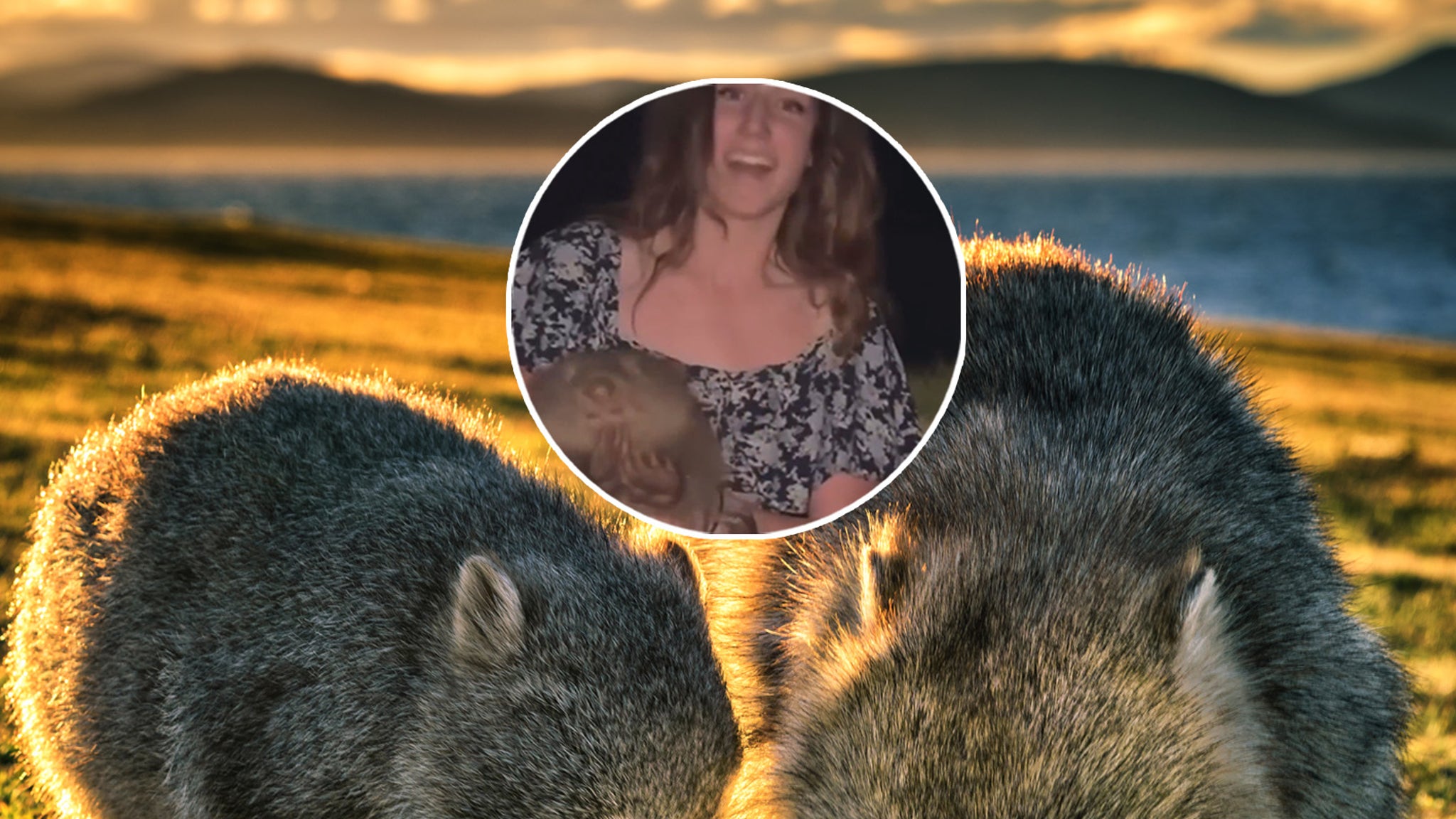 Influencer Who Snatched Baby Wombat From Its Mother Issues Apology Amid Outrage