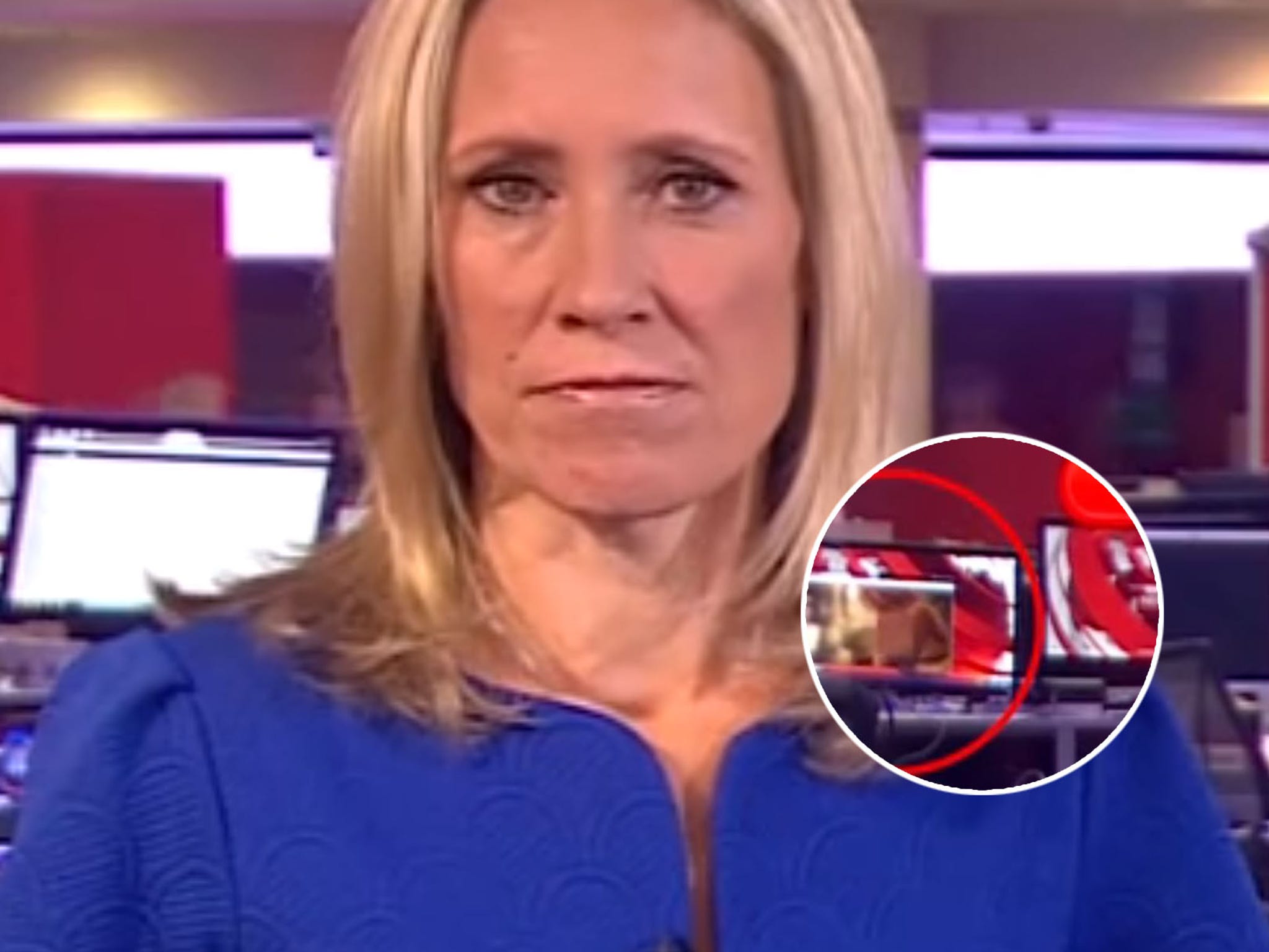 We Now Know Which Celebritys Boobs Went Viral In That BBC News Blooper