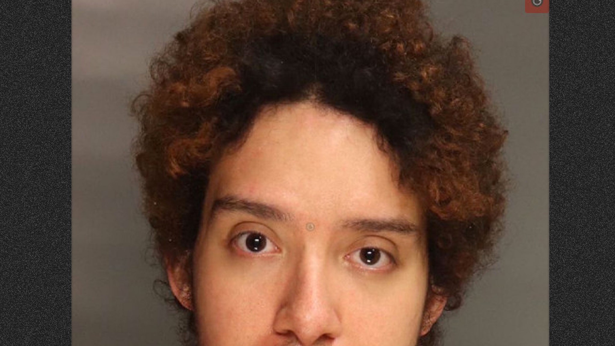 Man Stabbed 'Devil' Grandma to Death, Set House on Fire Over 'Poison' Flea Medication for Cat: DA