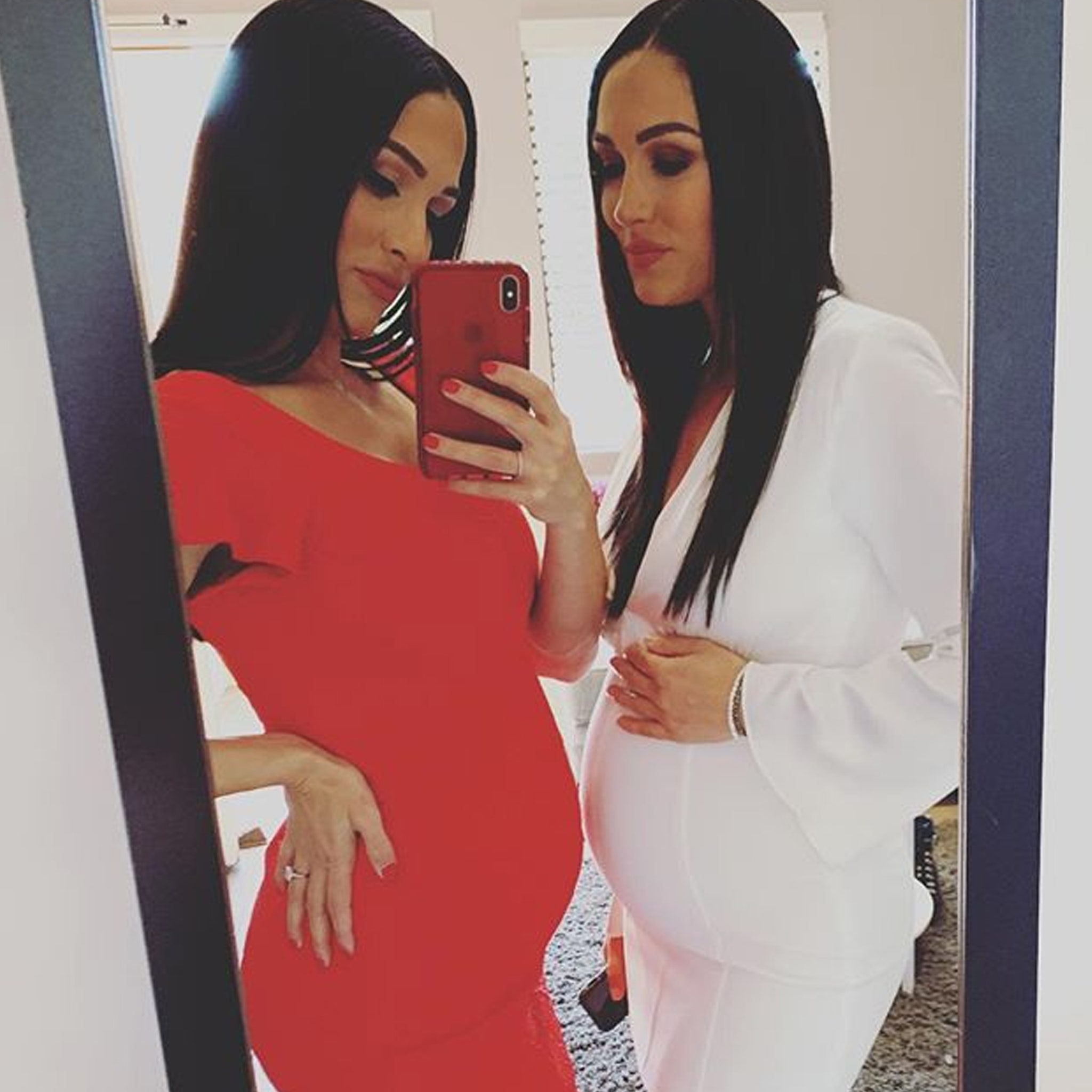 Brie And Nikki Bella Reveal They're Both Pregnant At The Same Time