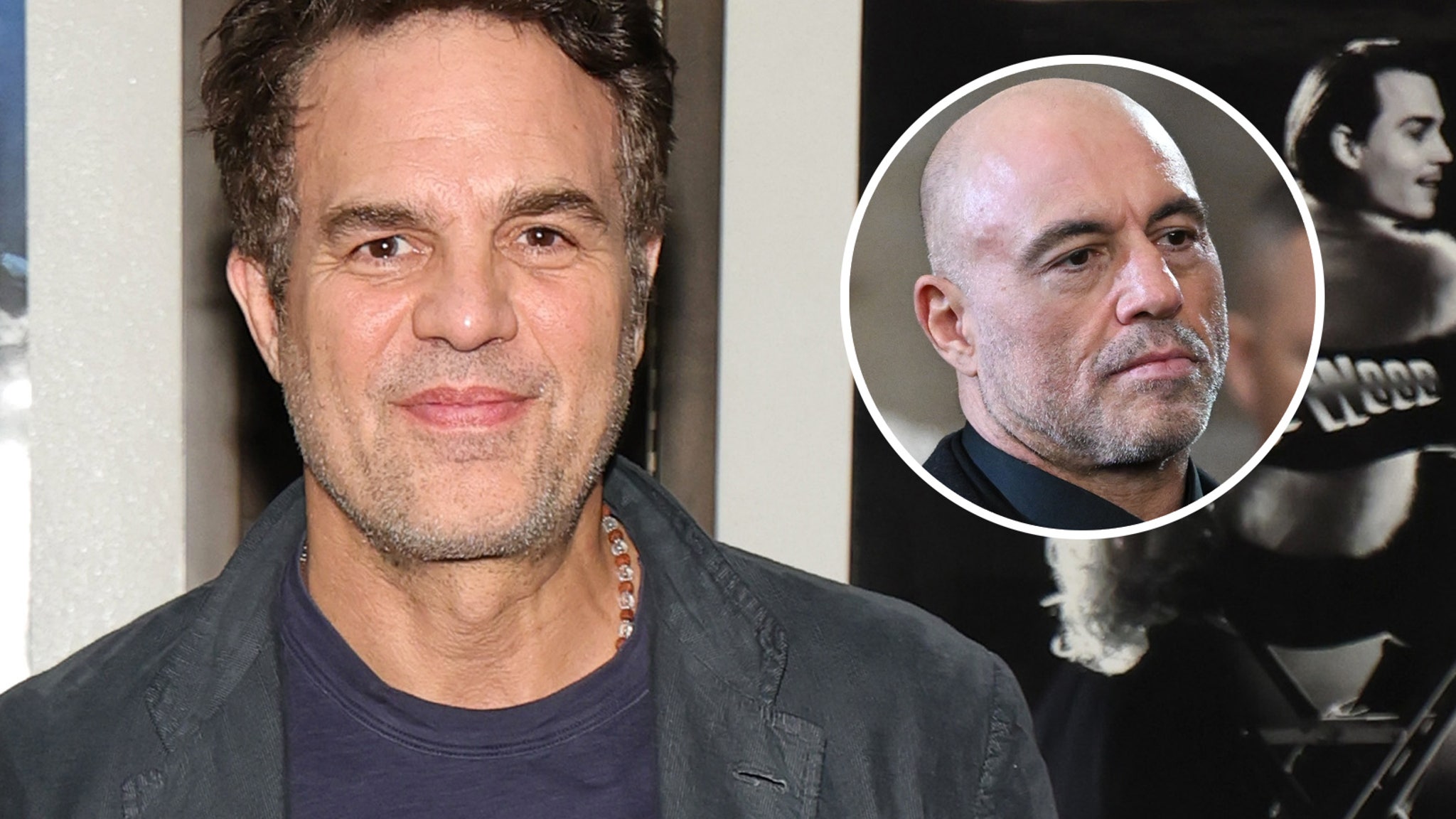 Mark Ruffalo Calls Out Joe Rogan Disagreeing with ICE Immigration Raids: 'It's a Little Late Now'