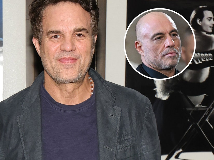 Mark Ruffalo Calls Out Joe Rogan Disagreeing with ICE Immigration Raids: 'It's a Little Late Now'