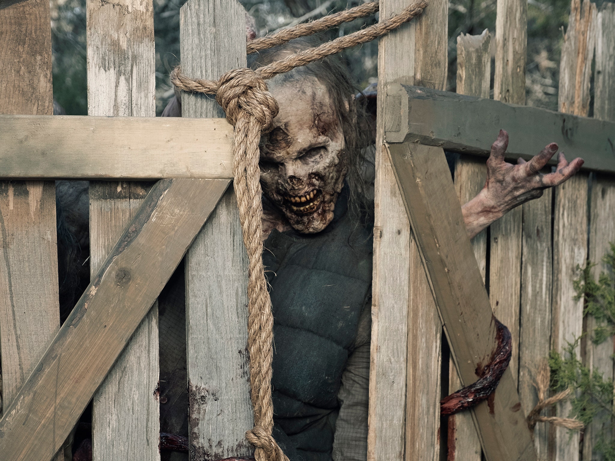Fear the Walking Dead Recap Season 5, Episode 7: Seeming Death Sentence  for One