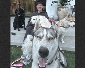 James Charles ‌reunites ‌dogs with ‍family⁢ displaced by wildfires