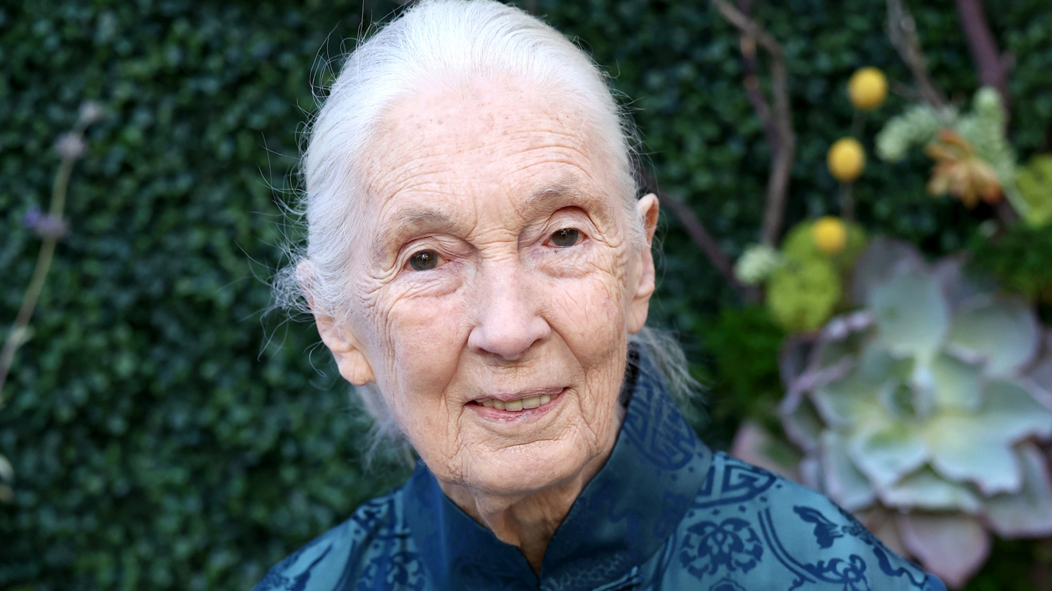 Jane Goodall Dead at 91: Stars React to Chimp Expert & Legendary Activist's Passing