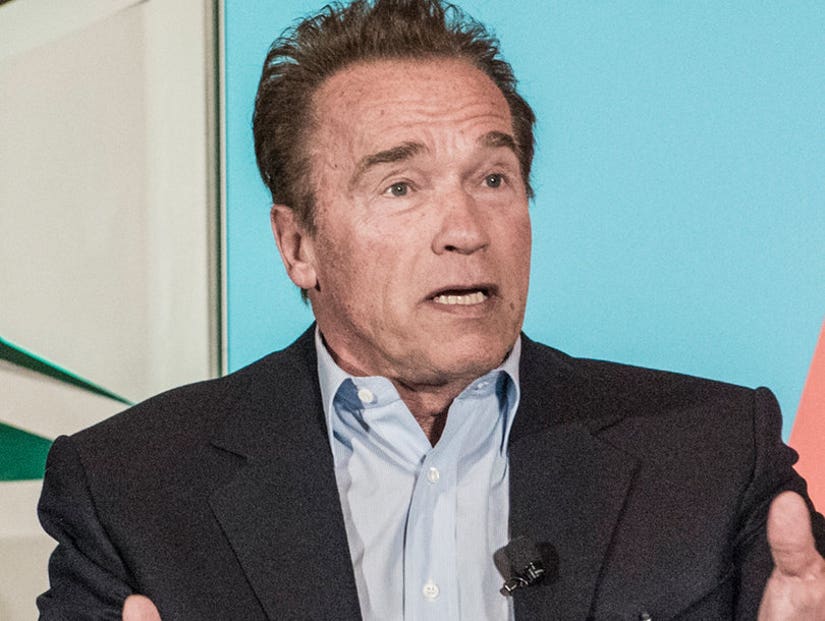 Arnold Schwarzenegger Compares Republican Party to the Titanic: 'It Is  Dying'