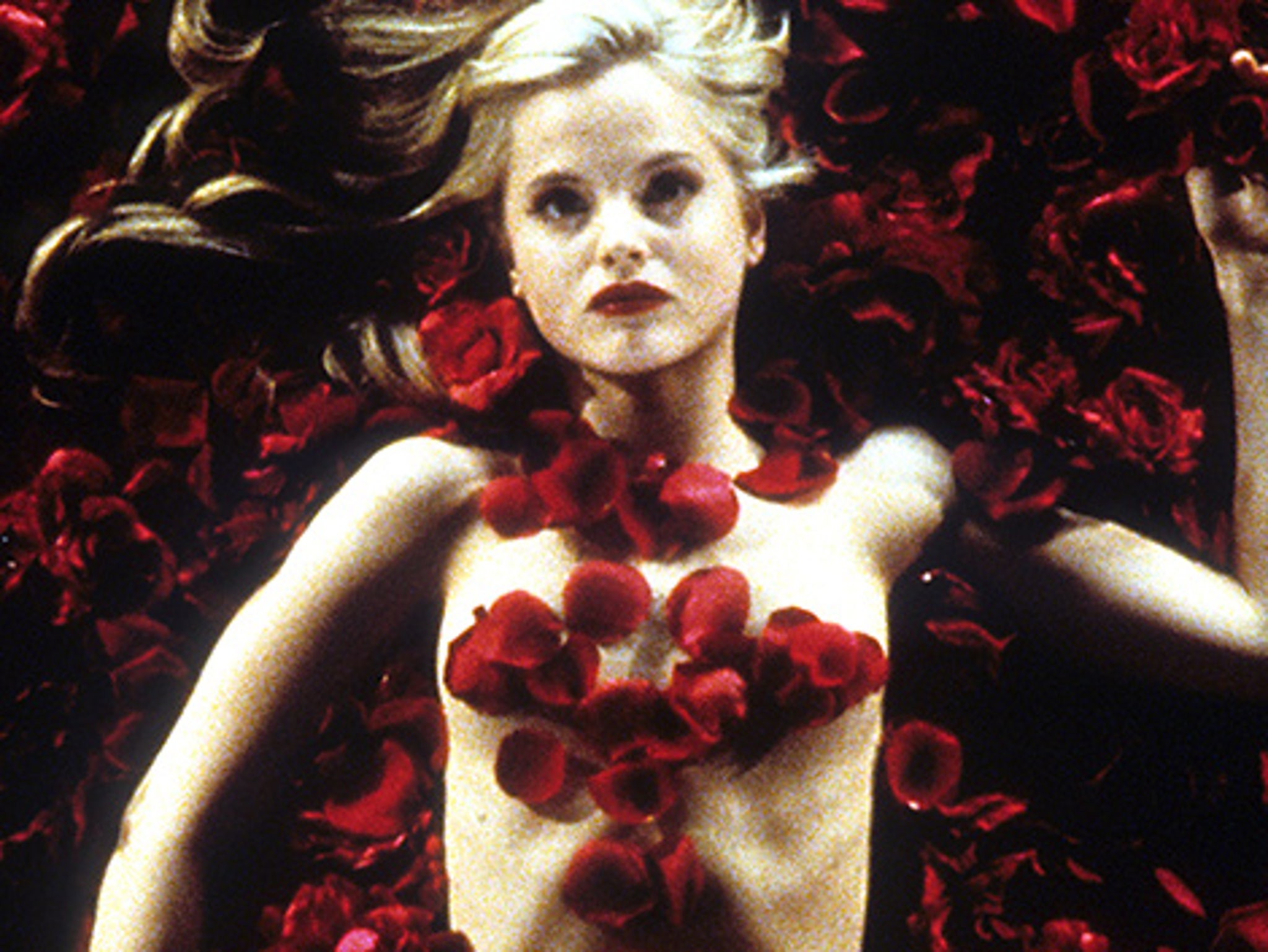 American Beauty