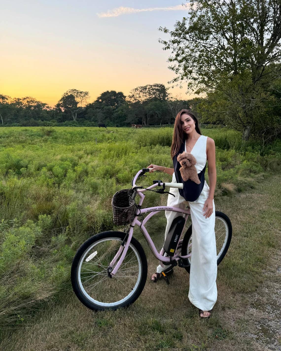 'Favorite moments with my favorite 🐶 I love him too much ❤️❤️❤️❤️' Olivia Culpo.